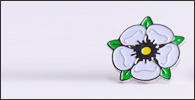 Lapel badge
